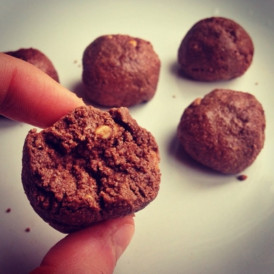 Chocolate Coconut Protein Balls!