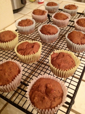 Chocolate Pecan Protein Muffins
