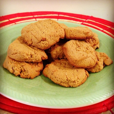Low Carb Flour Free Peanut Butter Cookies