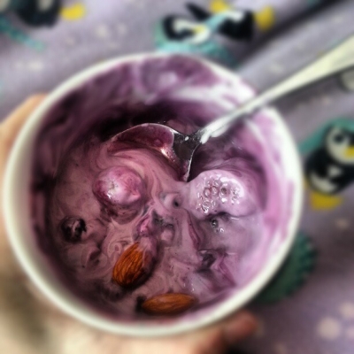 Mixed Berry Greek Yogurt