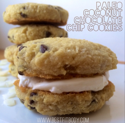 Paleo Coconut Chocolate Chip Cookies