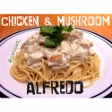 Chicken & Mushroom Alfredo 