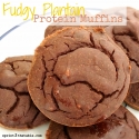 Fudgy Plantain Protein Muffins