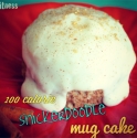 One Hundred Calorie Snickerdoodle Protein Mug Cake