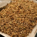 Spiced Coconut Seed Crunch